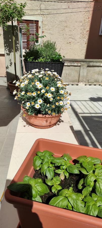 Luxury Apartment - Old Soul With A New Heart Cres Bagian luar foto